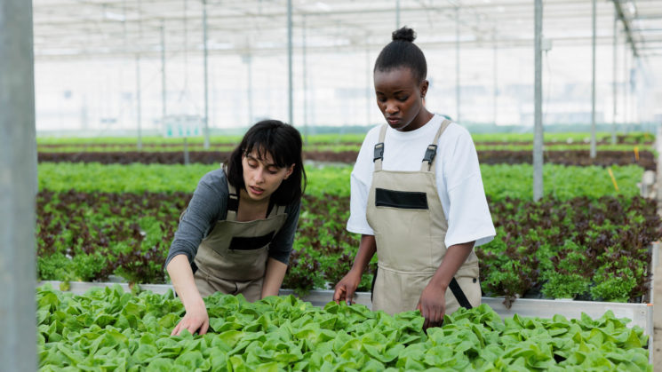 two teen girls farming in green house.