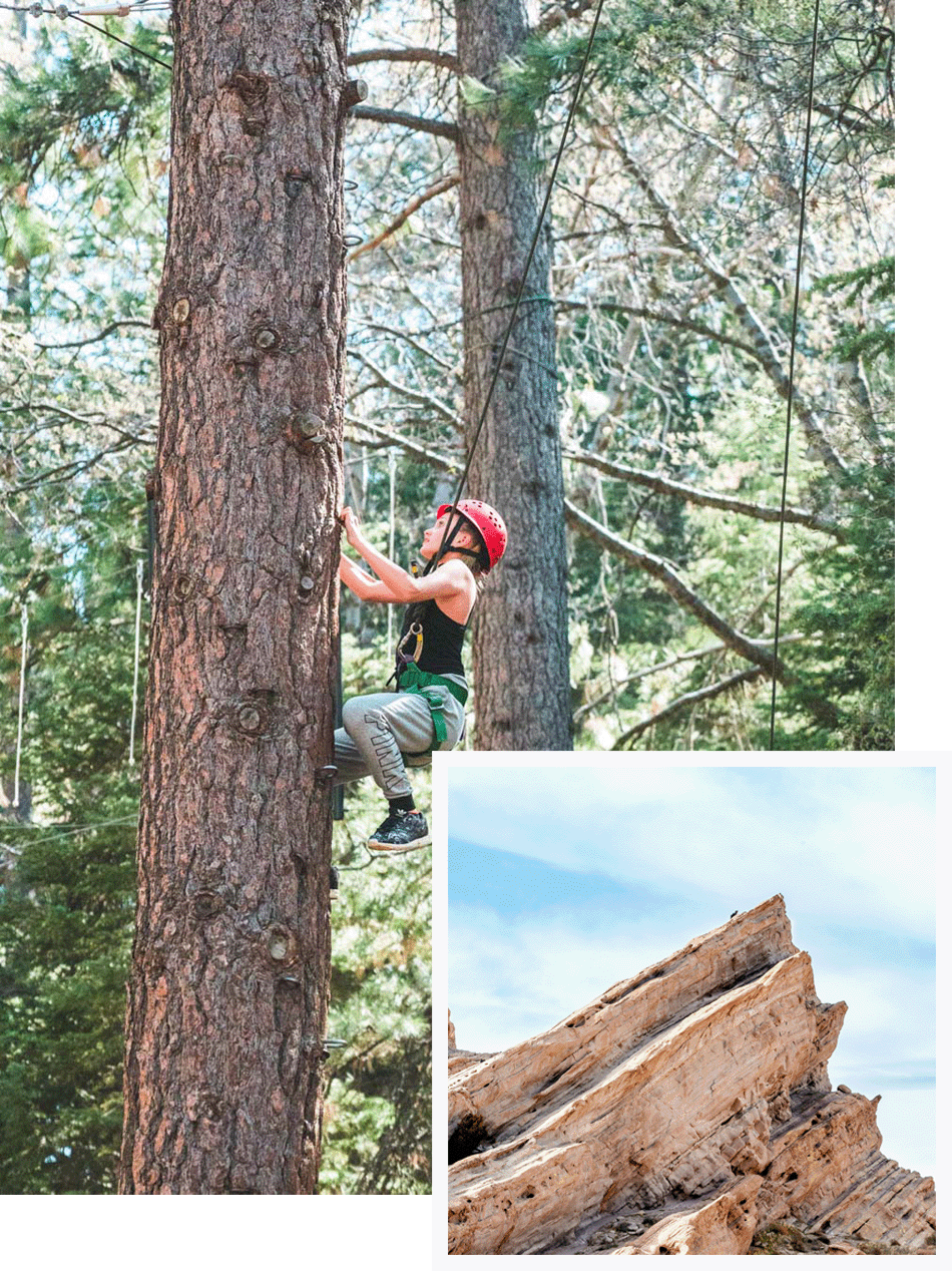 composition of child climbing tree and desert rock.