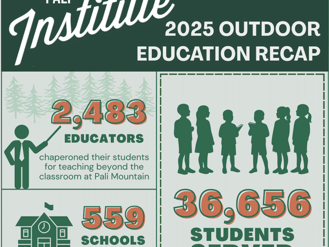 2025 a year in review pali institute infographic header